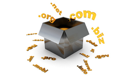 Protect Your Domain